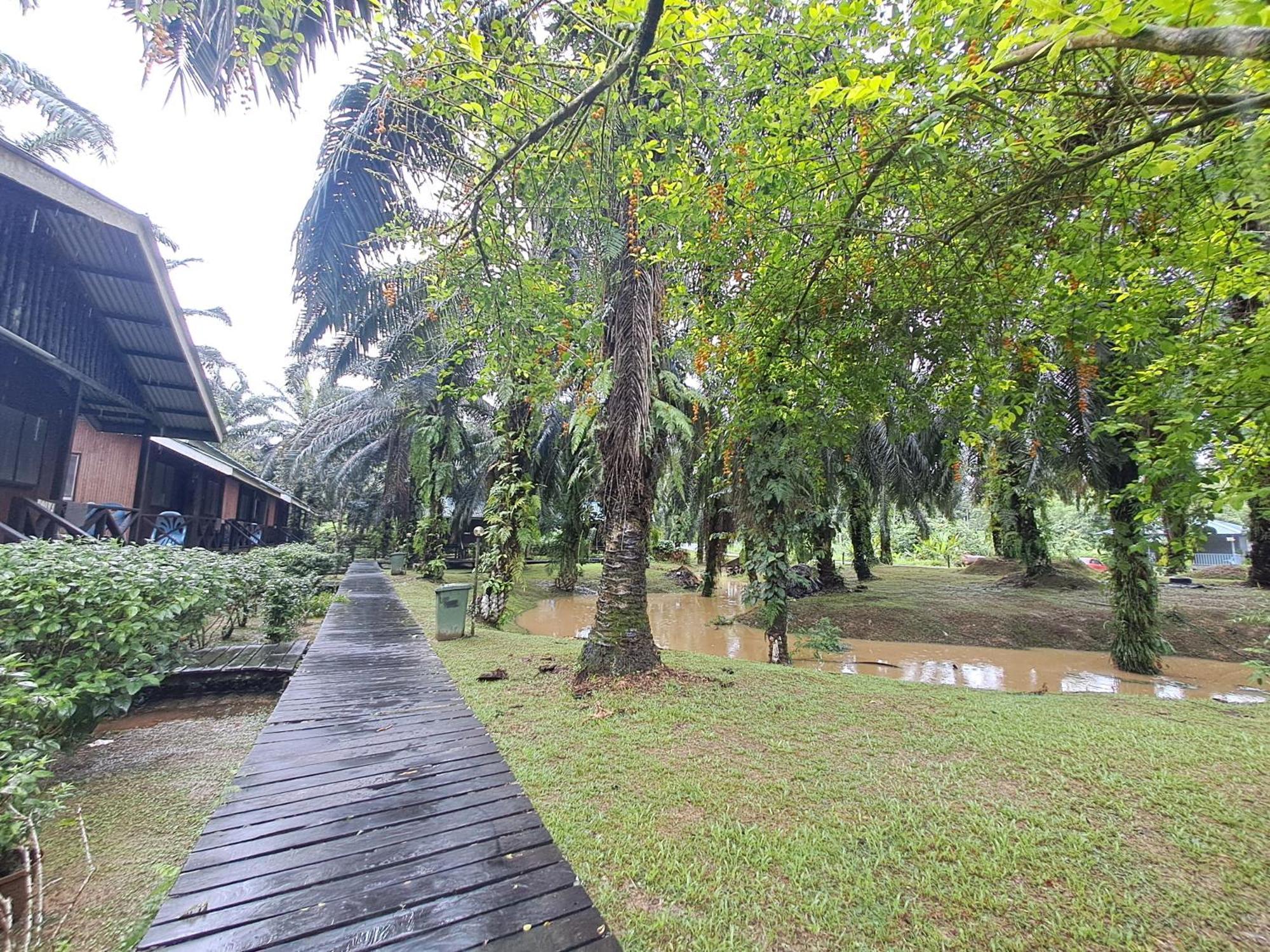 Sukau Backpackers Bed & Breakfast Exterior foto